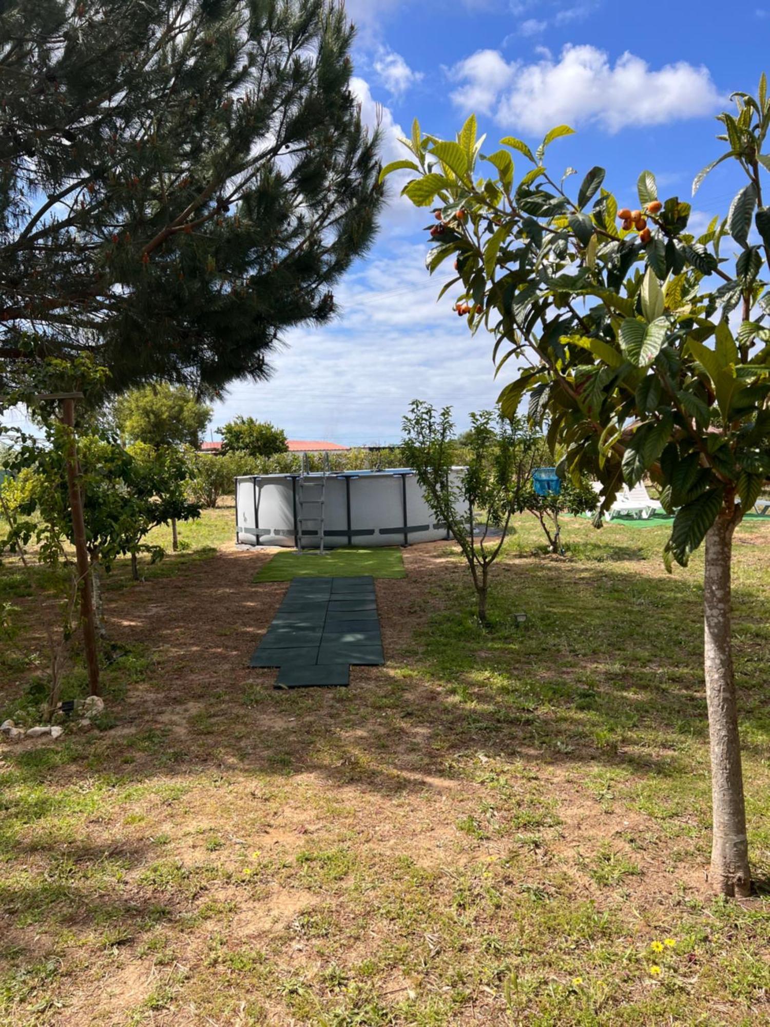 Quinta Dos Viegas Βίλα Φάρο Εξωτερικό φωτογραφία